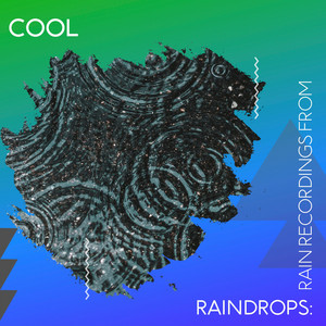 zZz Cool Raindrops: Rain Recordings from the Valley zZz album
