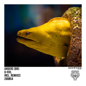 U=Rxl - Alvinho L Noise Remix by Anders (BR), Alvinho L Noise
