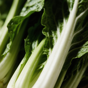 Sherotha Lavone Paramore - yakin sudah dihati drop