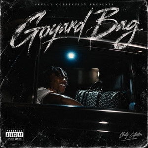 Goyard bag by Luh skully