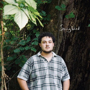 Songbird - Acoustic Version by Blake Lacy