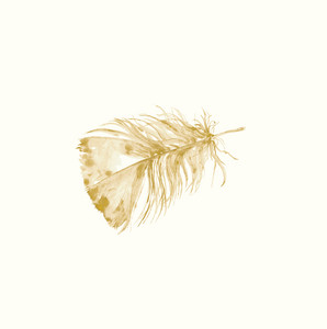 Bells Fall Still by Spell Songs, Jim Molyneux, Seckou Keita, Beth Porter, Julie Fowlis, Rachel Newton, Kris Drever, Karine Polwart