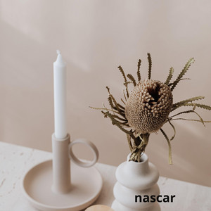 nascar by Yazilome