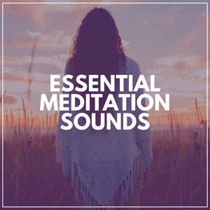 Essential Meditation Sounds album