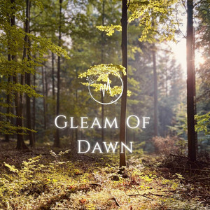 Gleam of Dawn by Miaquirele