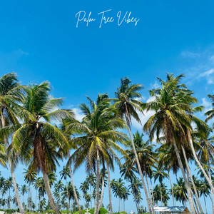 Let Me Sleep by Palm Tree Vibes