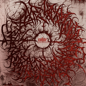 REMEMBER by Cellar.