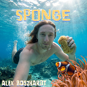 Sponge by Alex Boszhardt