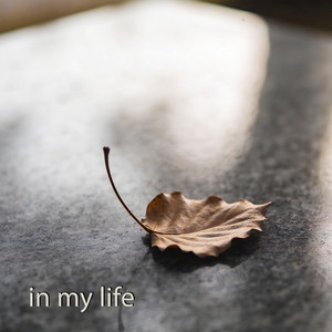 In My Life by Doug Young
