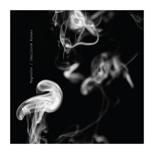 Magnofon cover