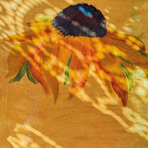 I Still Think About You / No Ordinary Love — deary