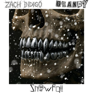 SNOW FALL (feat. Zach Indigo)