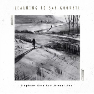 Learning to Say Goodbye by Elephant Ears, bressi_Soul