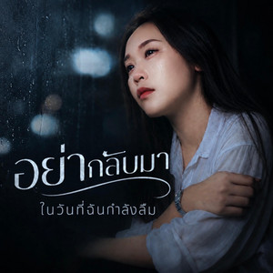 อย่ากลับมา ในวันที่ฉันกำลังลืม by PAPAONJ