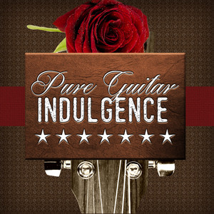 Pure Guitar Indulgence album