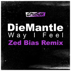 Way I Feel - Zed Bias Remix by Zed Bias cover art