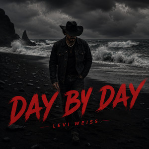 Day By Day by Levi Weiss