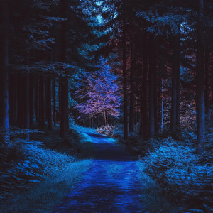 Dusk by Ethereal Drifters