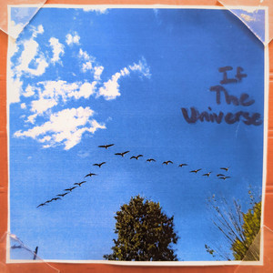 If the Universe