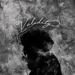 Validity by Darilø, Devin Donnell