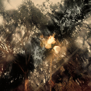 Intrinsic by OLD