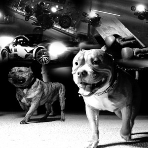 Trap19 Connection - TUMNI ULITSI