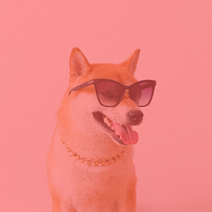 (Chill Out Sax) Music for Training Your Puppy album