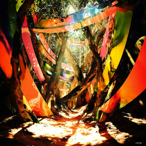 Leaf by Oba