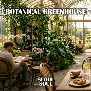 Seoul Soul - Sunlit Leaves