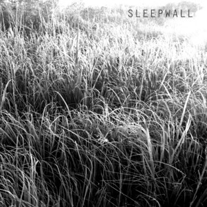 Sleepwall artist photo