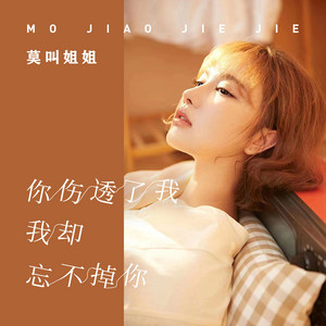 Don't call me sister - 你伤透了我我却忘不掉你