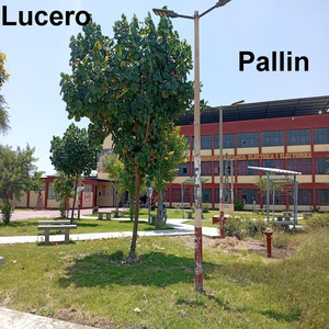 Fortaleza en mi piel by Lucero Pallin