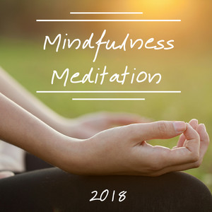 Mindfulness Meditations poster