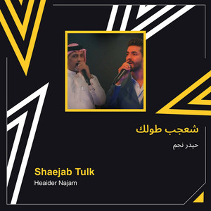 Haider Nagm - شعجب طولك