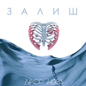 Залиш