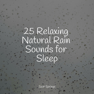 25 Relaxing Natural Rain Sounds for Sleep album