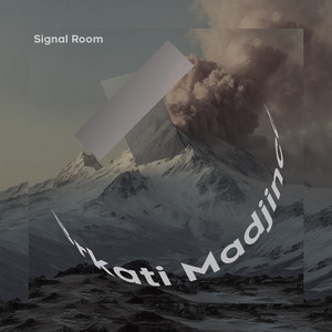 Signal Room by Brkati Madjinca
