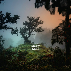 Mossy Knoll by Elio Vane