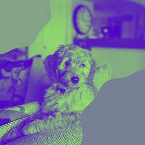 Music for Morning Run with Dog - Wondrous Trumpet, Electric Piano, Alto Sax and Soprano Sax album