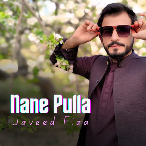 Javeed Fiza - Nane Pulla