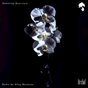 Orchid - Atley Bestoren Remix by Valentino Guerriero, Atley Bestoren