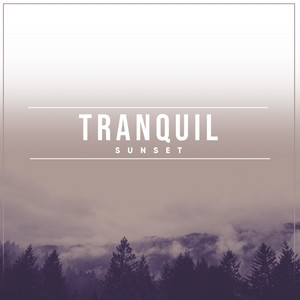# 1 Album: Tranquil Sunset album