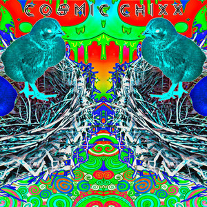 COSMIC CHIXX
