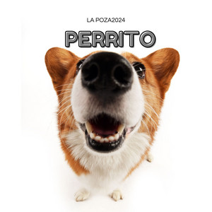 Perrito by La Poza2024