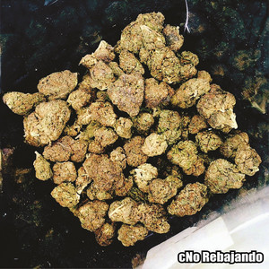 La Ciriguaya - Rebajada by cNo Rebajando
