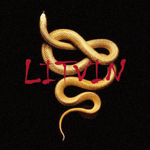 LITVIN — Бриллианты