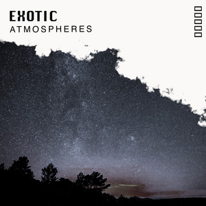 # 1 A 2019 Album: Exotic Atmospheres album