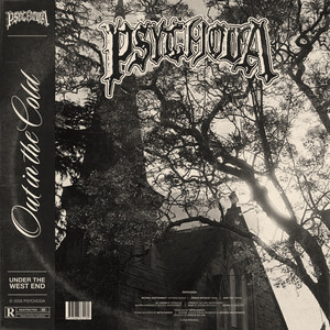 Out in the Cold by Psychoda