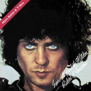ZINC ALLOY AND THE HIDDEN RIDERS OF TOMORROW ‑「アルバム」by T