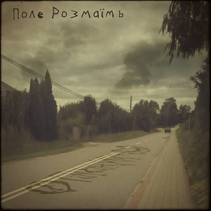 Поле Розмаїть